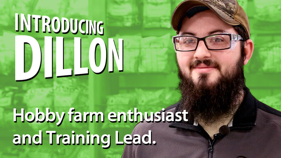 Thumbnail image to access Dillion's video titled Introducing Dillion, hobby farm enthusiast and training lead